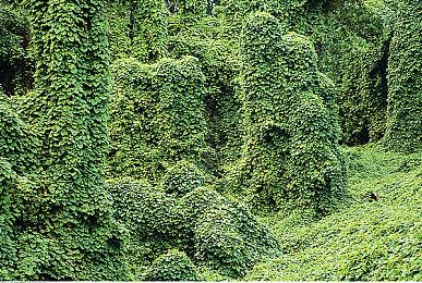 《艾尔登法环》DLC是独立地图 和宁姆格福一样大